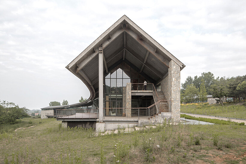 aurélien chen dragon mountain