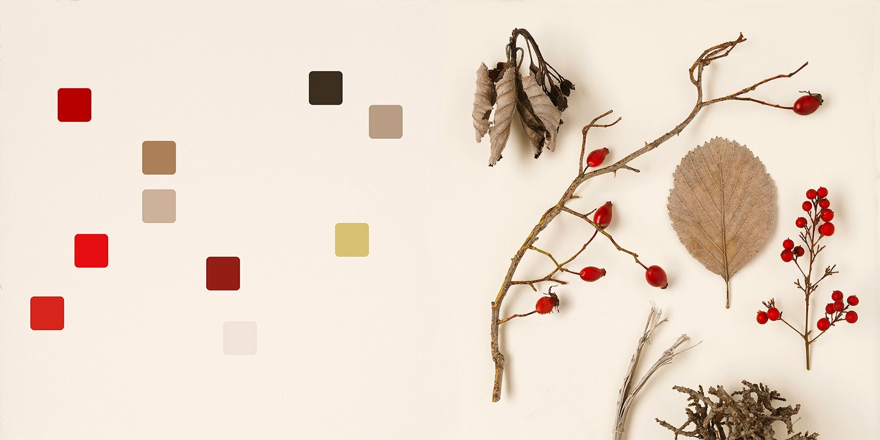 chromatic-herbarium-massimo-gardone-alessandra-muran-book-designboom-1