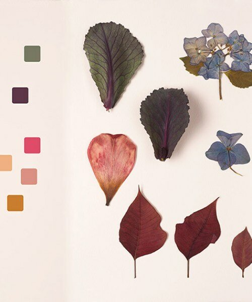 chromatic herbarium book captures a vivid living collection of the hues of nature