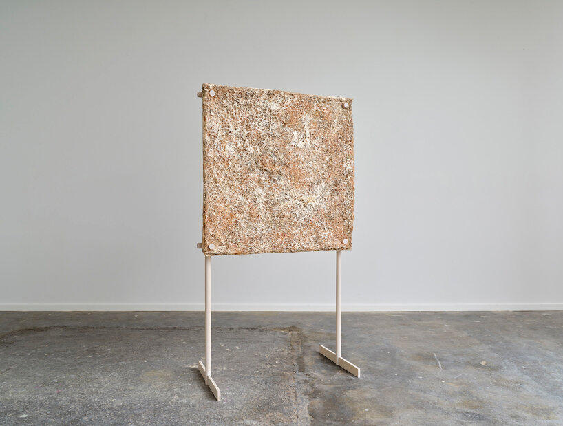 jonas edvard crafts sound-absorbing panel from mushroom mycelium, hemp, and willow