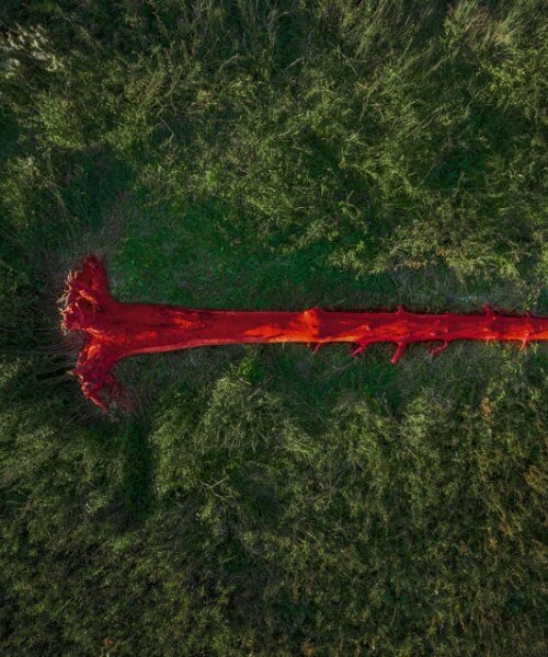 gregory orekhov revives dead spruce tree as vibrant canvas in moscow fields