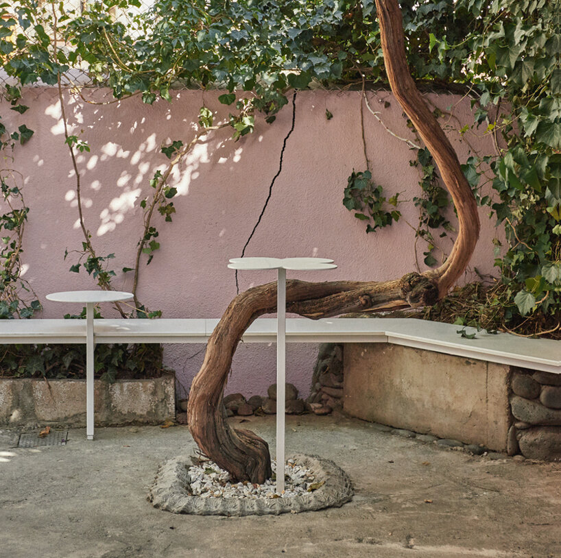 dalshe weaves floral motifs and natural stones into vibrant café in armenia