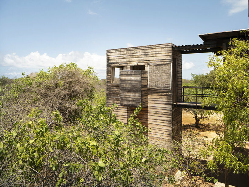 PAT.'s stilted falcon house is an ode to tropical modernism on kenya's manda island