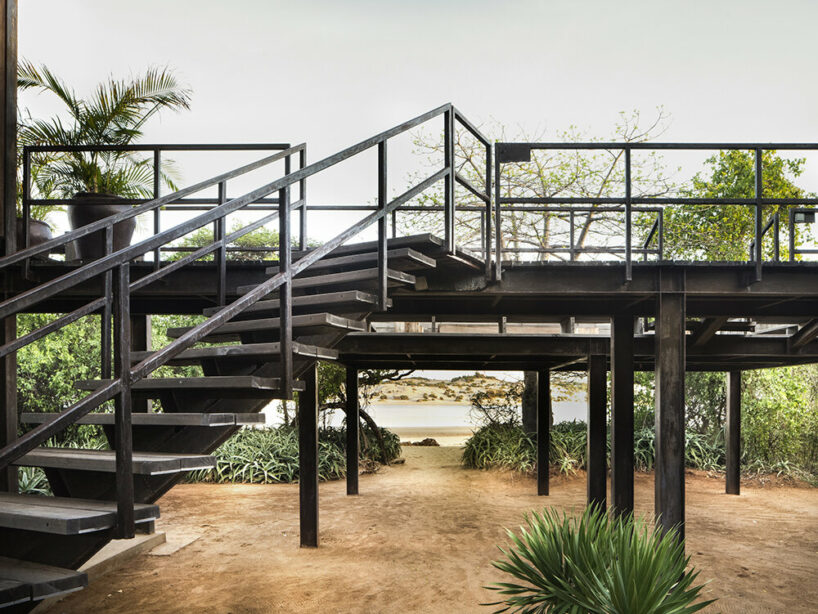 PAT.'s stilted falcon house is an ode to tropical modernism on kenya's manda island