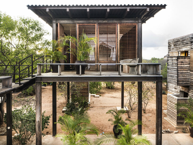 PAT.'s stilted falcon house is an ode to tropical modernism on kenya's manda island