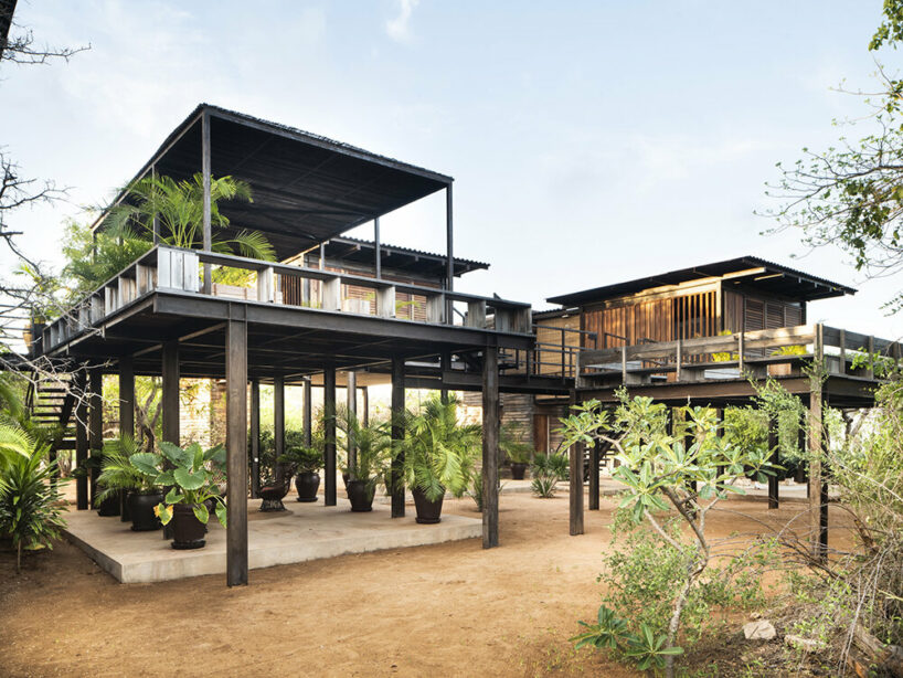 Pats Stilted Falcon House Is An Ode To Tropical Modernism In Kenya