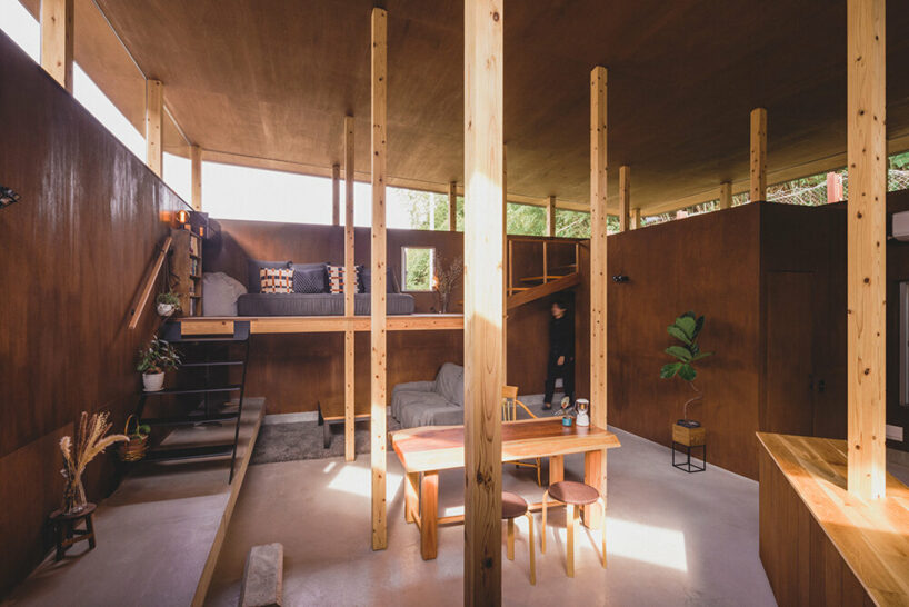 a 'forest' of pillars creates playful depth inside this japanese dwelling by IGArchitects