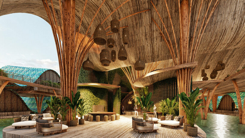 DNA's hotel toh kuyabeh mirrors bird flight undulations in tulum