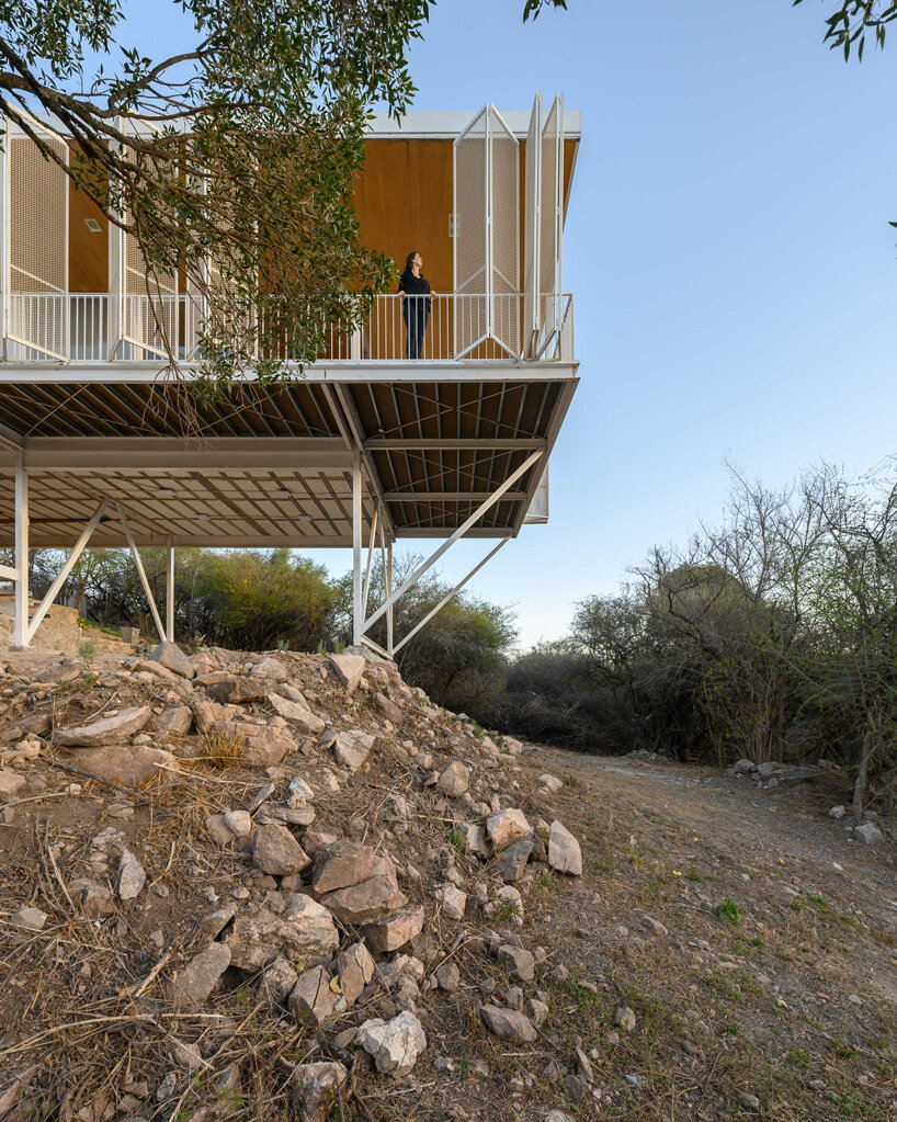 zayat arquitectura encases 'house in the clouds' with perforated panels in argentina