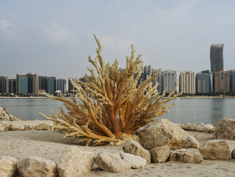 interview: shezad dawood mimics coral growth with AI & thermochromatic paint at manar abu dhabi