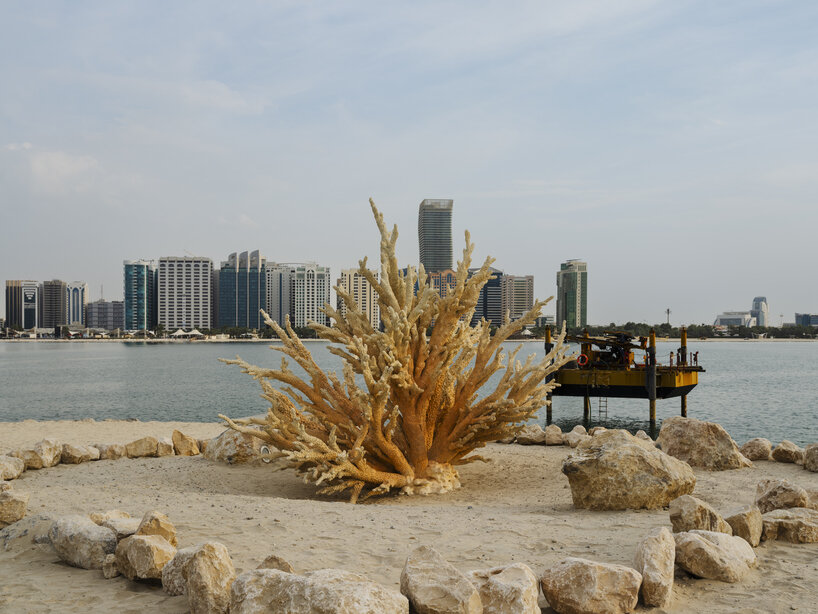 interview: shezad dawood mimics coral growth with AI & thermochromatic paint at manar abu dhabi