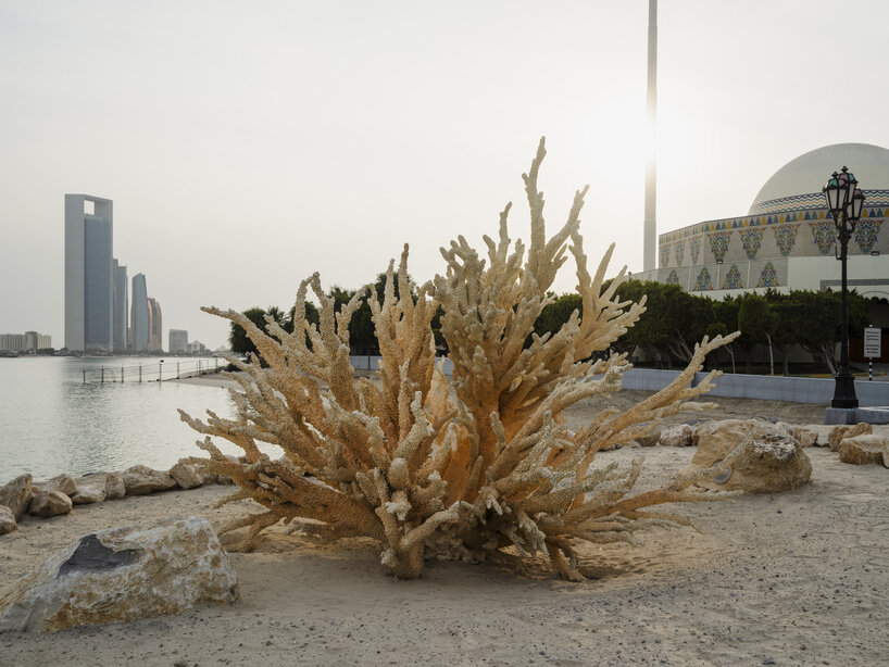 interview: shezad dawood mimics coral growth with AI & thermochromatic paint at manar abu dhabi