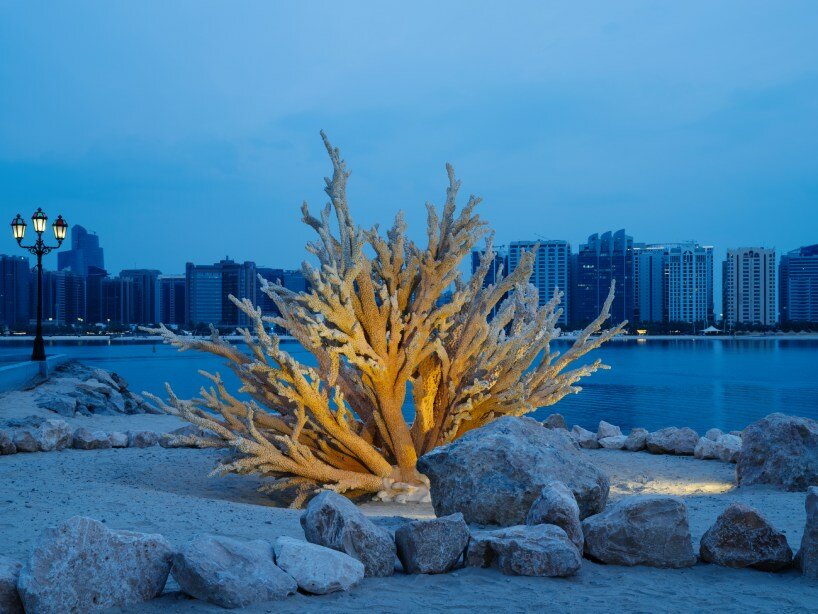 interview: shezad dawood mimics coral growth with AI & thermochromatic paint at manar abu dhabi