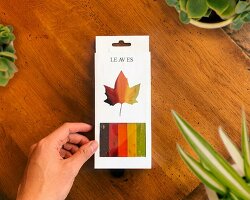 capturing transient shades of leaves, shion ito's crayons fuse multiple hues into one 