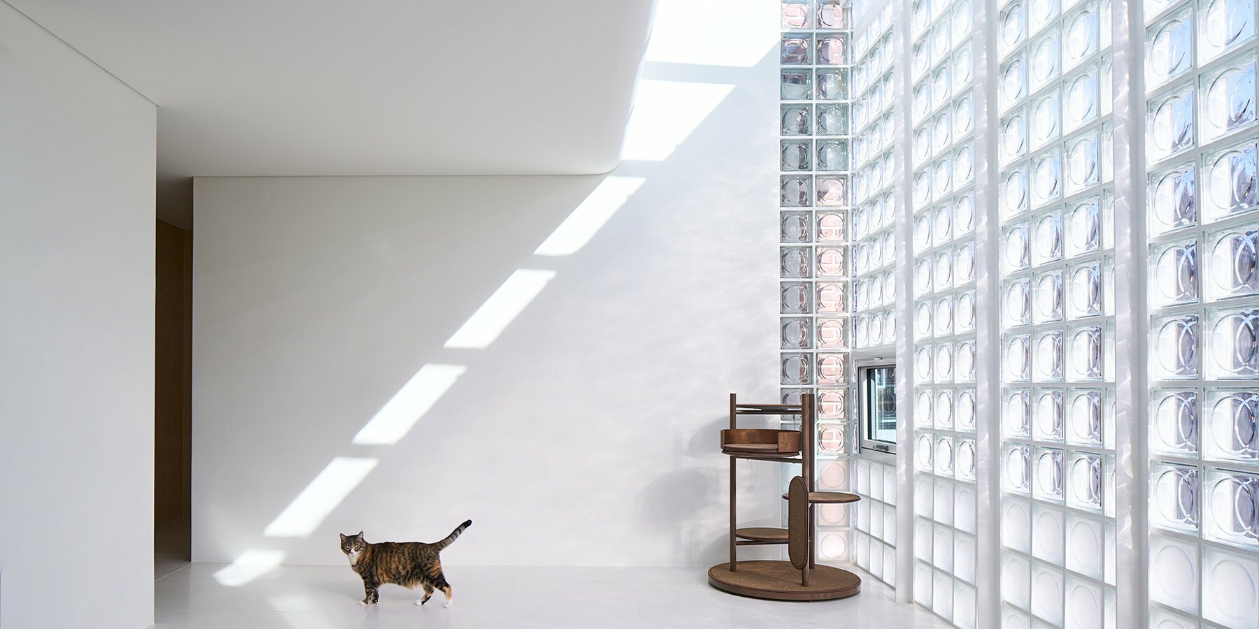 mews-glass-house-seoul-studio-heech-designboom-1800-2