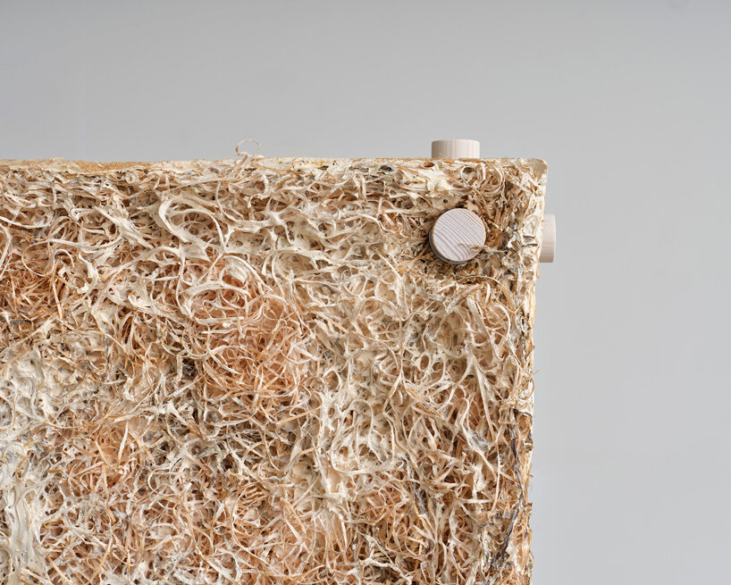 jonas edvard crafts sound-absorbing panel from mushroom mycelium, hemp, and willow