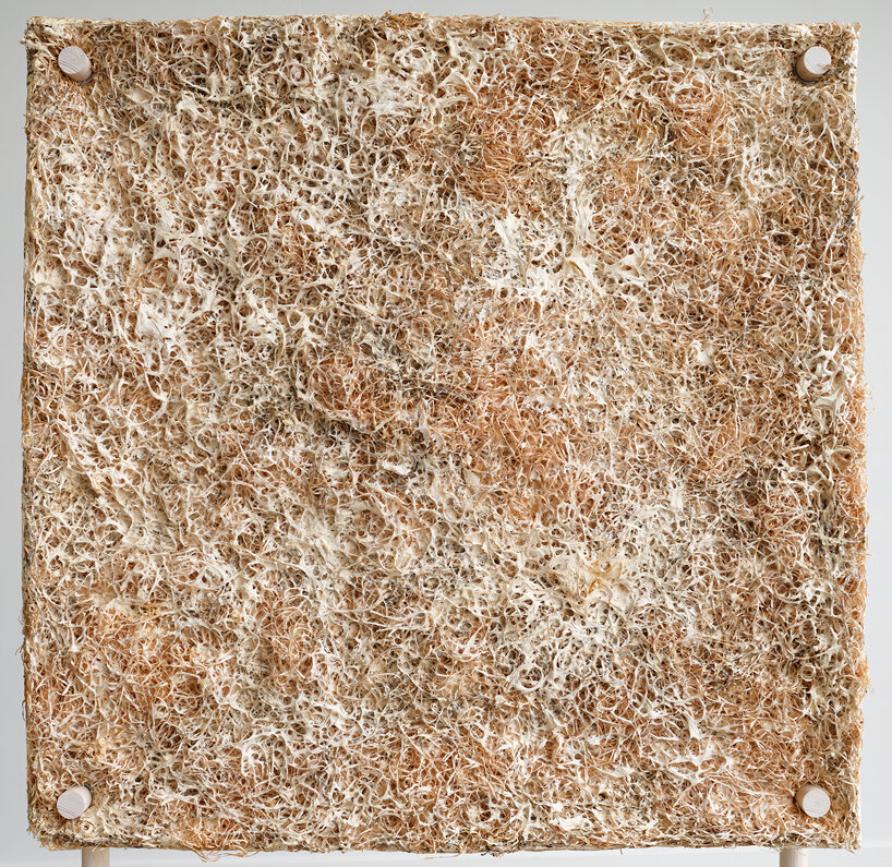 jonas edvard crafts sound-absorbing panel from mushroom mycelium, hemp, and willow