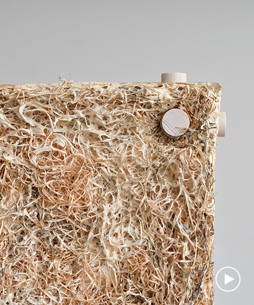 jonas edvard crafts sound-absorbing panel from mushroom mycelium, hemp, and willow