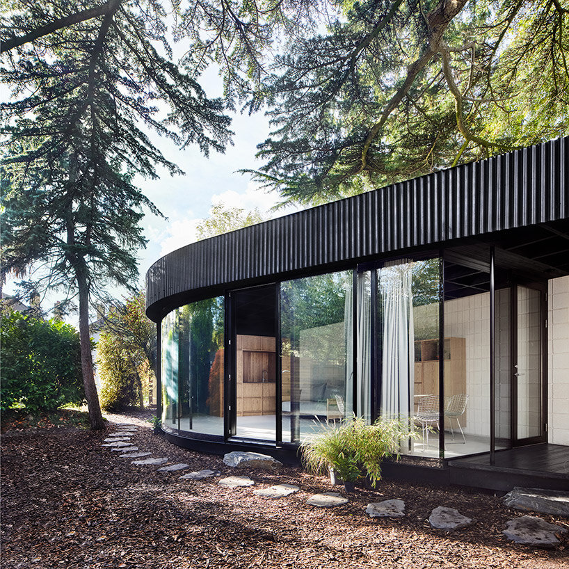 tikari room around tree