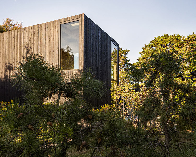 amagansett house starling architecture