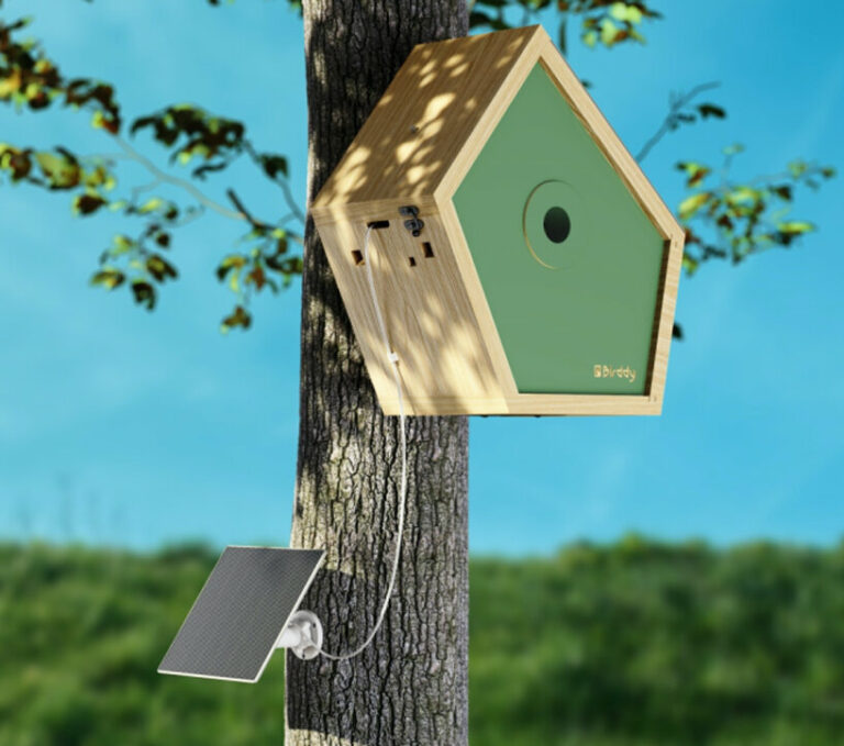 Birddy: A Smart Birdhouse For Our Avian Neighbors To Nest & Raise Their ...