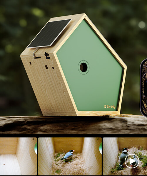birddy: a smart birdhouse for our avian neighbors to nest & raise their young
