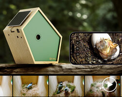 birddy: a smart birdhouse for our avian neighbors to nest & raise their young