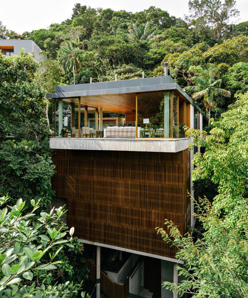 a modern treehouse by DB arquitetos rises from brazil's lush coastal canopies