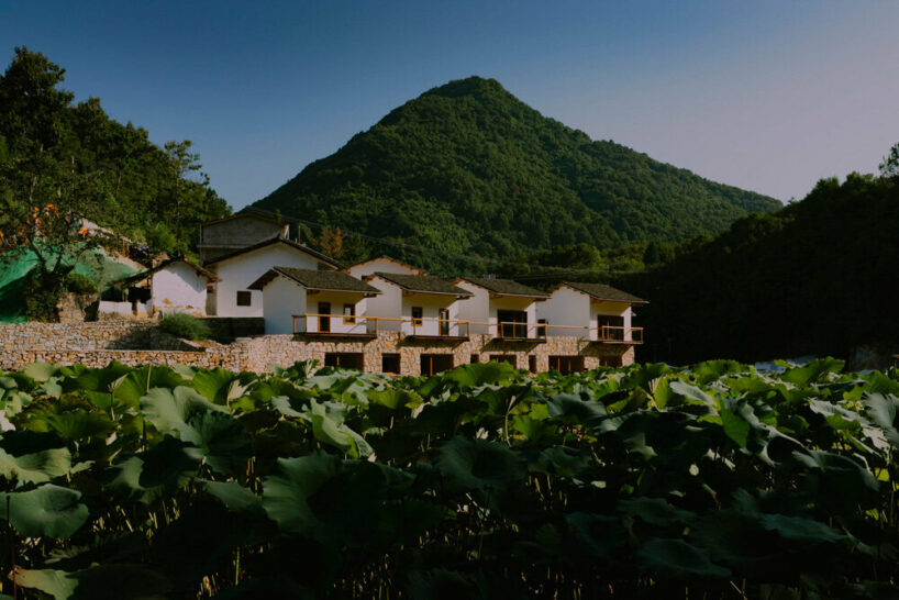 kooo architects embeds terraced pathways between hotel cottages in china