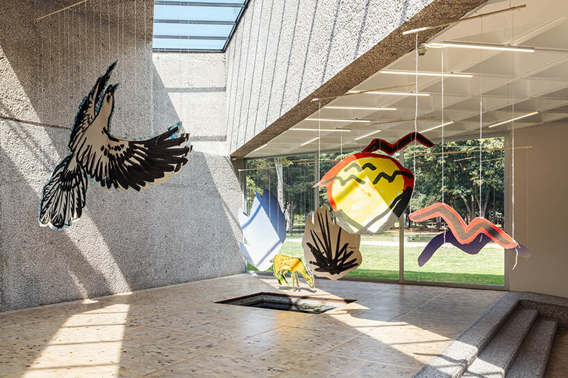 Un avión decorado con gallinas puede llevarte a la exhibición Petri Hallelage en el Museo Tamayo en México