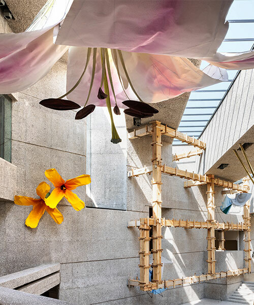 chicken-adorned airplane can fly you to petrit halilaj's exhibition at museo tamayo, mexico