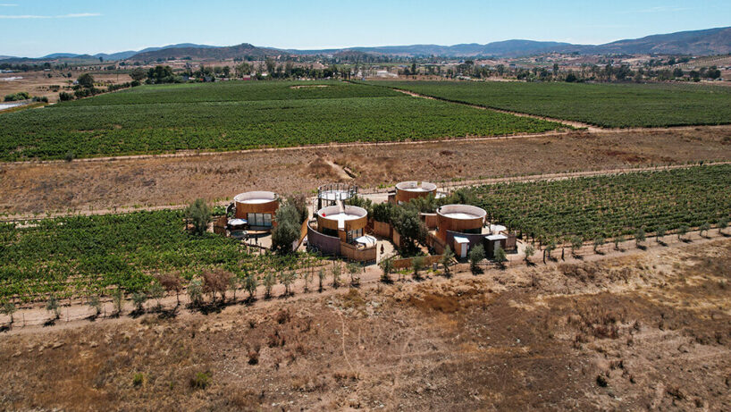 terraces and hanging bridges connect the zeuhary cabins in a mexican vineyard