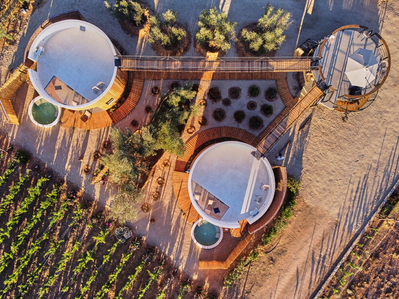 terraces and hanging bridges connect the zeuhary cabins in a mexican vineyard