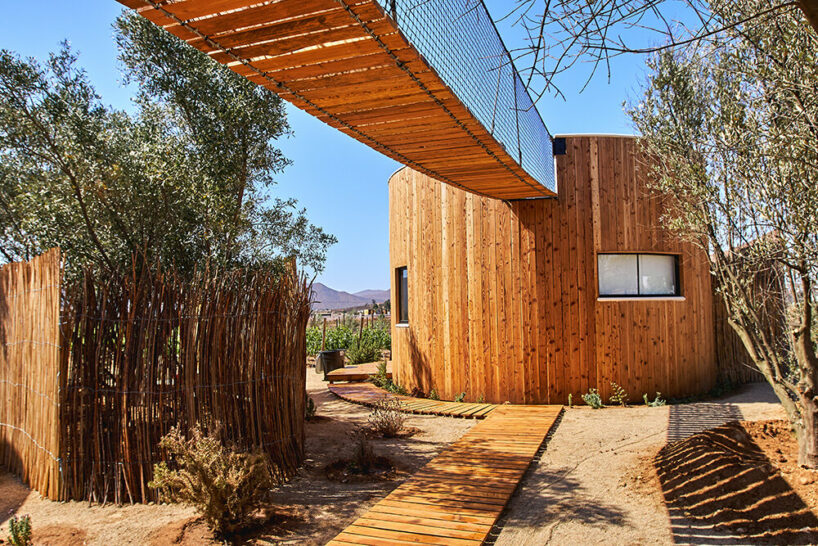 terraces and hanging bridges connect the zeuhary cabins in a mexican vineyard