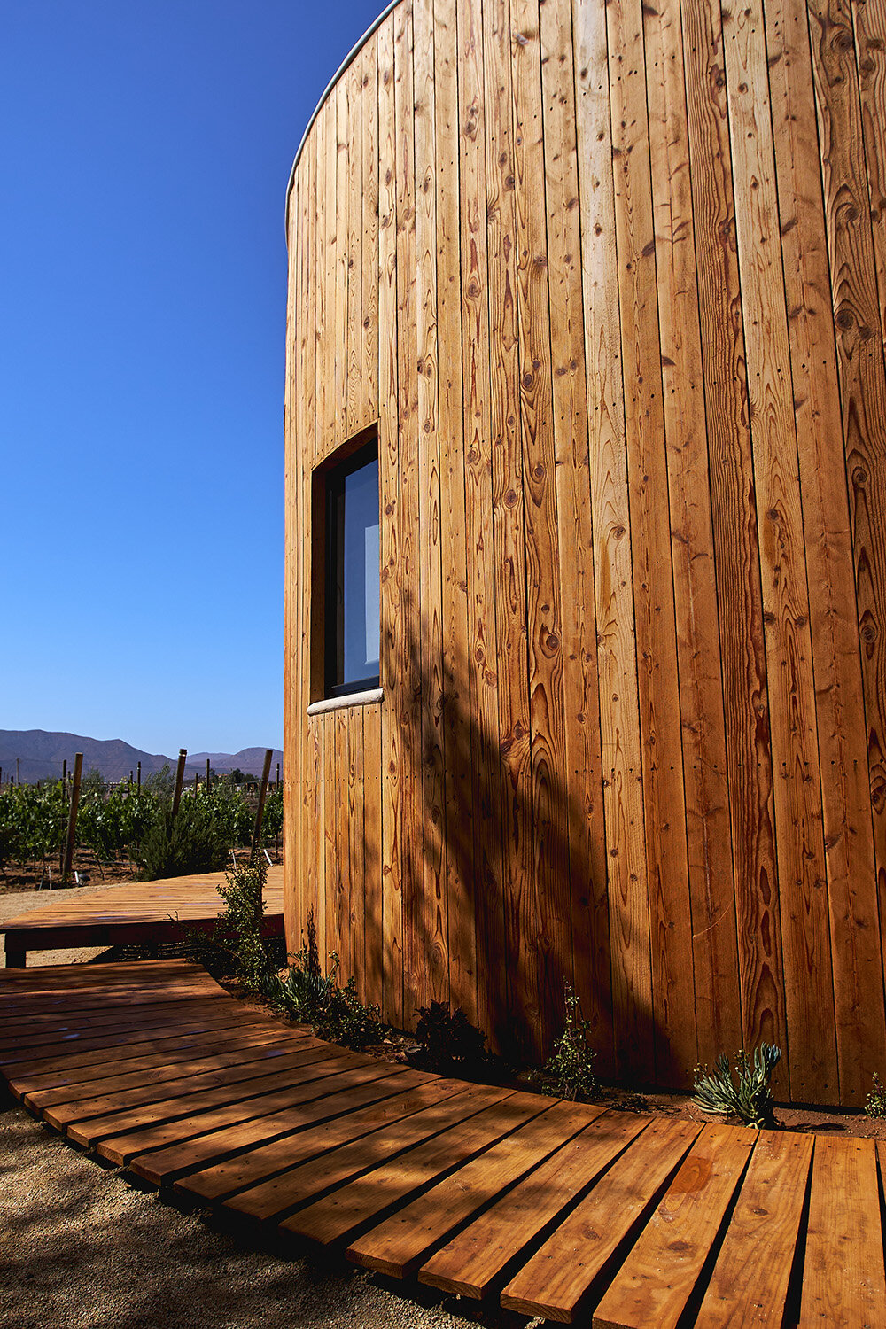 terraces and hanging bridges connect the zeuhary cabins in a mexican vineyard