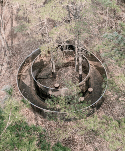 secret forest pavilion's steel structure spirals around three trees in south korea