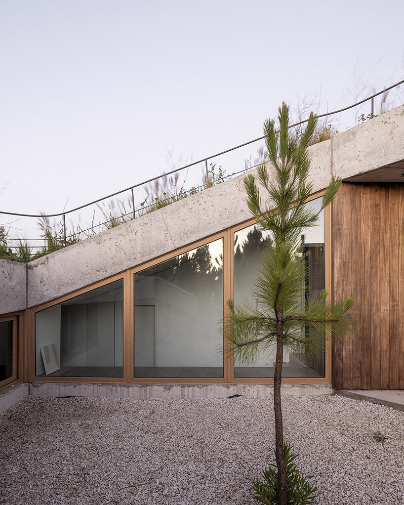 ZIM arquitextura's grass-topped arena house adapts to the dunes of coastal argentina
