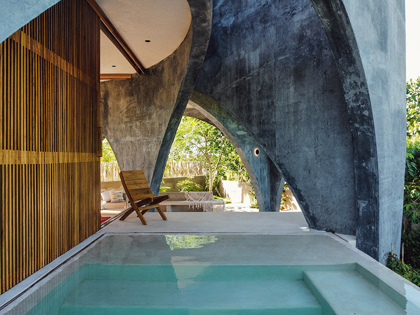 toro house estudio carroll