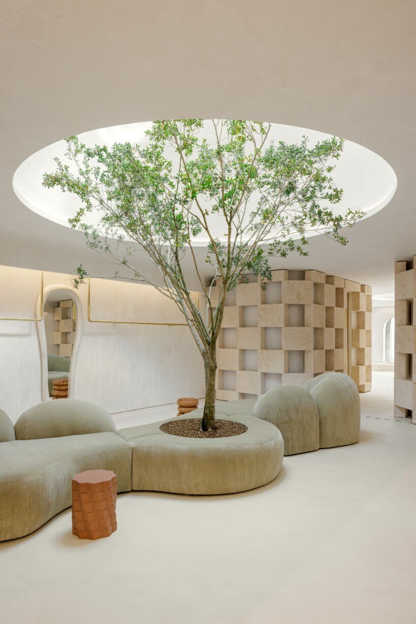 soaring sculpture and banyan tree pierce oculi of sugarhouse's miami fashion store