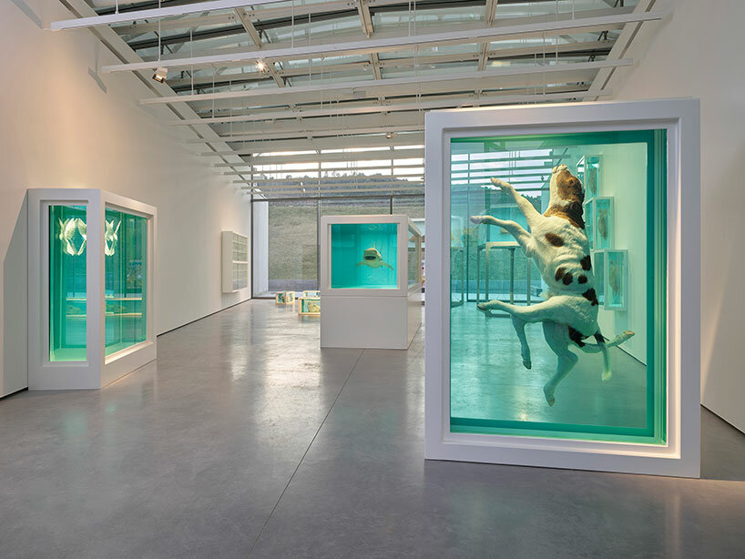 damien hirst takes over the entire château la coste with 'the light that shines' exhibition