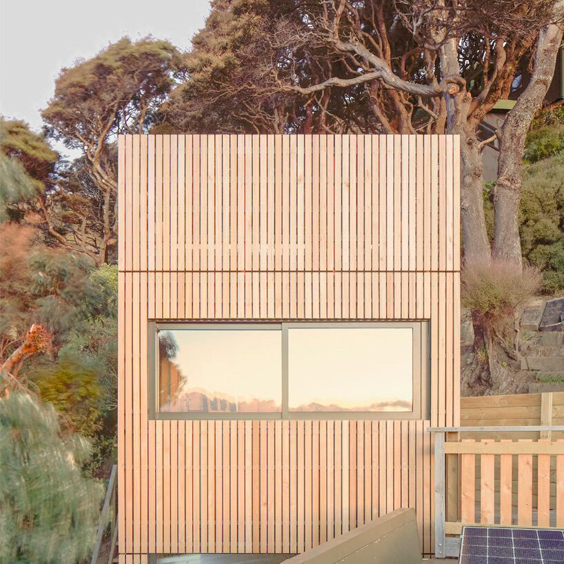 vertical timber cladding coats compact karaka tower treehouse in new ...