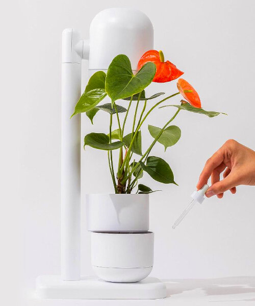 moss’ self-watering lamp can grow plants and herbs on its own while lighting up spaces