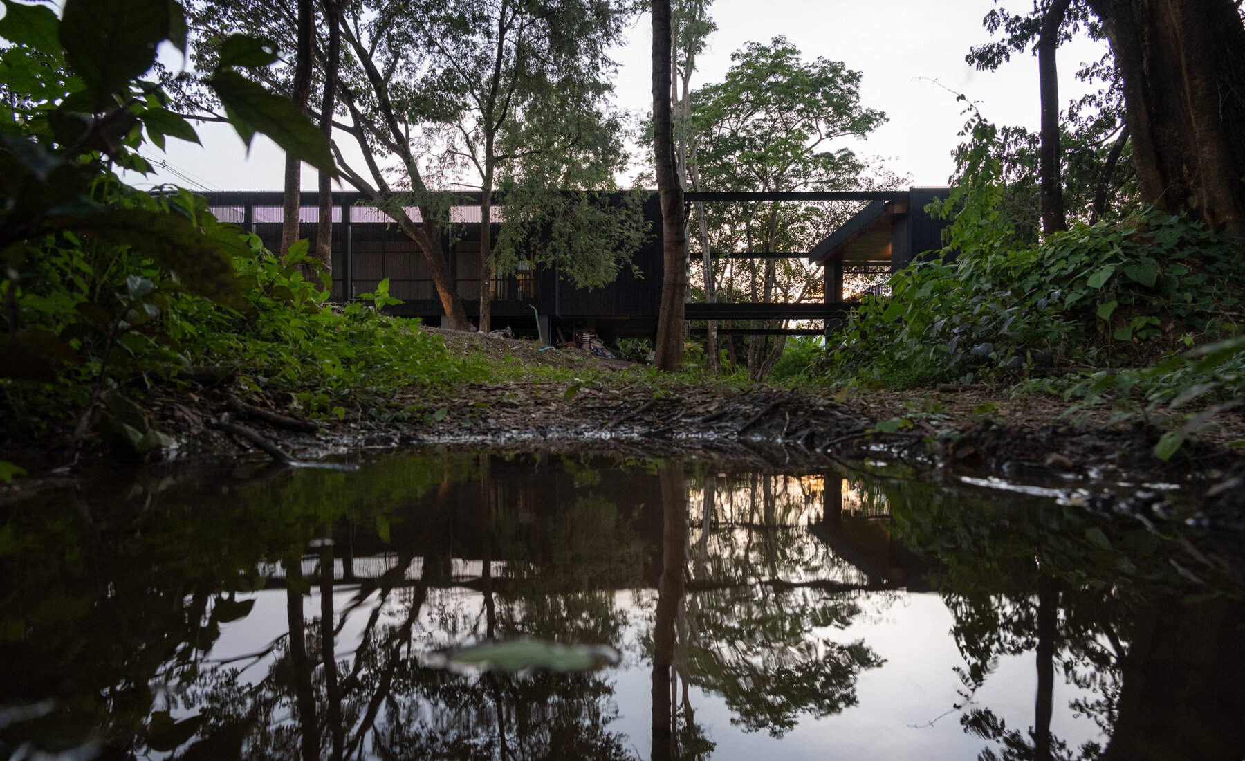 timber-clad residence settles on stilts within raintree forest in thailand