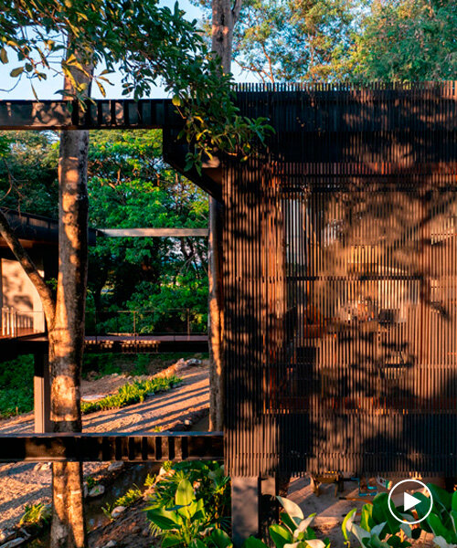 timber-clad residence settles on stilts within raintree forest in thailand