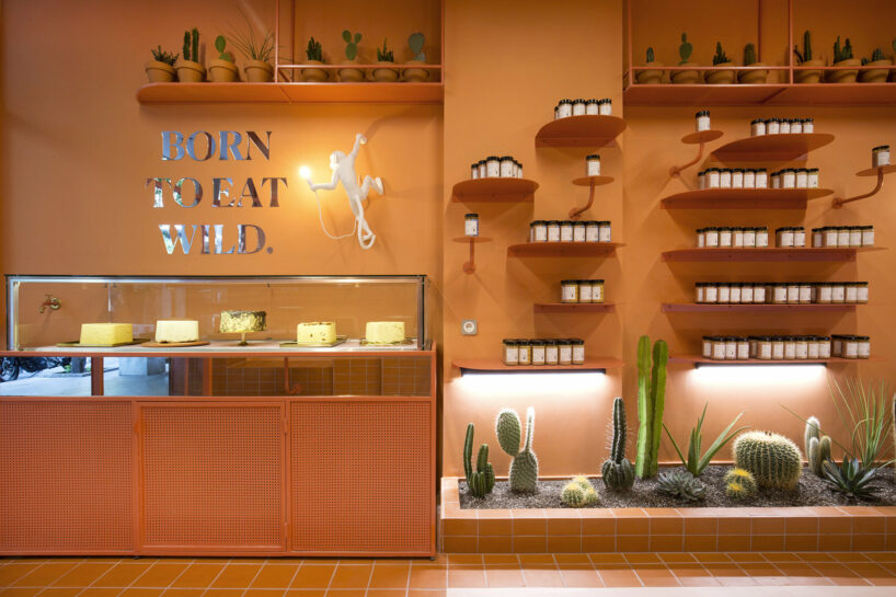 a terracotta-orange hue engulfs studiomateriality's wild souls shop design in athens