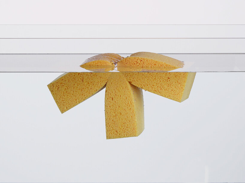 ecal sponge furniture biodegradable