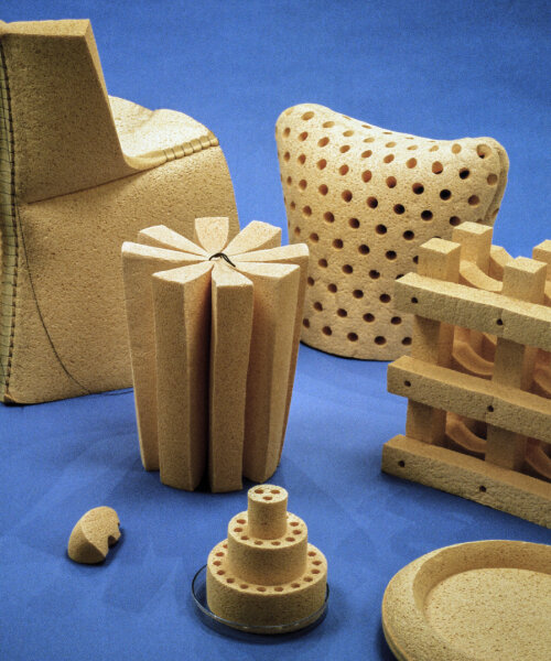 ECAL’s compressed furniture made from biodegradable sponge grows when soaked in water