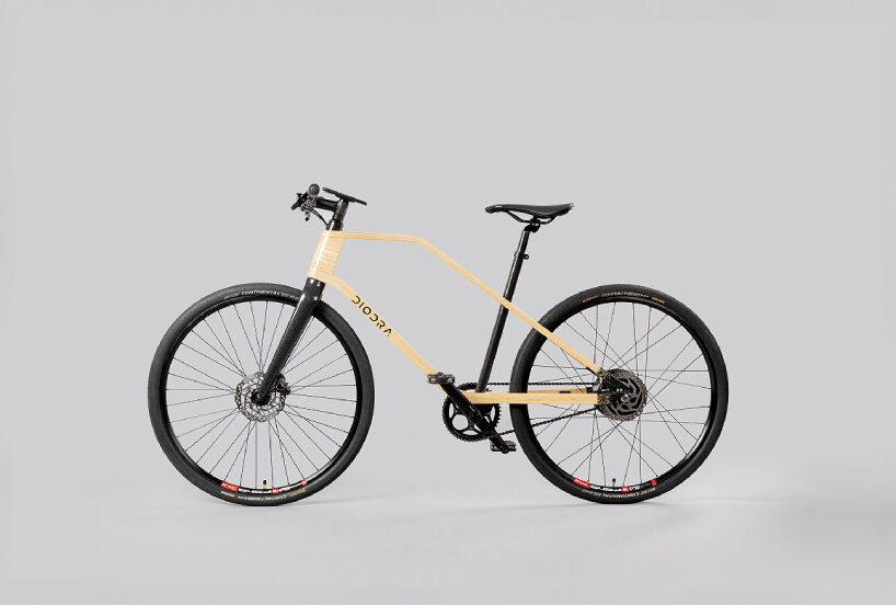 Bamboo electric bike sale