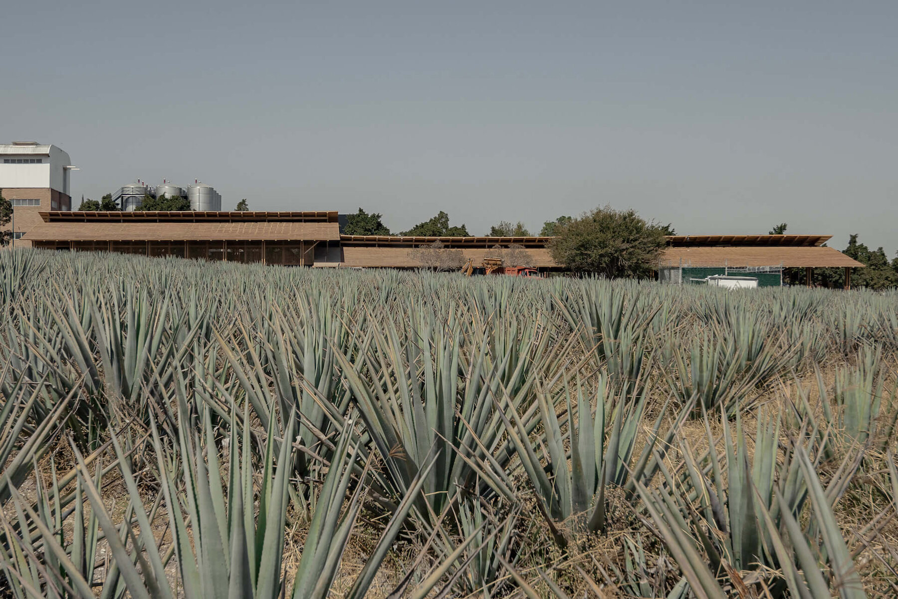 estudio-ala-mezcal-production-palenque-mexico-designboom-06a