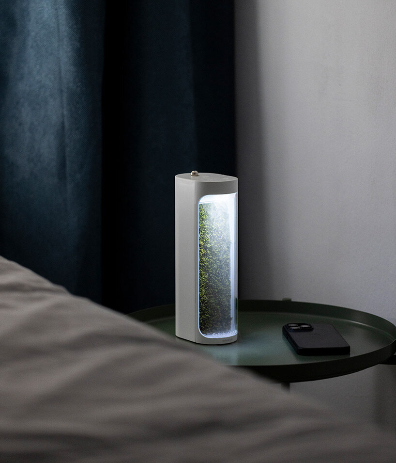 moss air by mosslab: the desktop-sized air humidifier & purifier